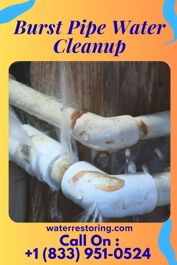 Burst Pipe Water Cleanup in Port William, OH