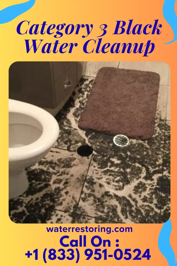 Category 3 Black Water Cleanup in Port William, OH