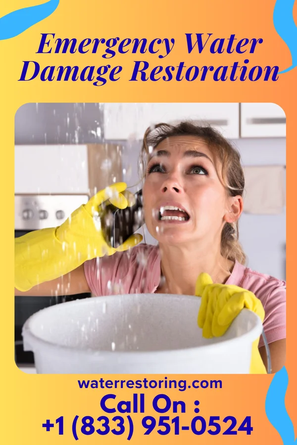 Emergency Water Damage Restoration in Port William, OH