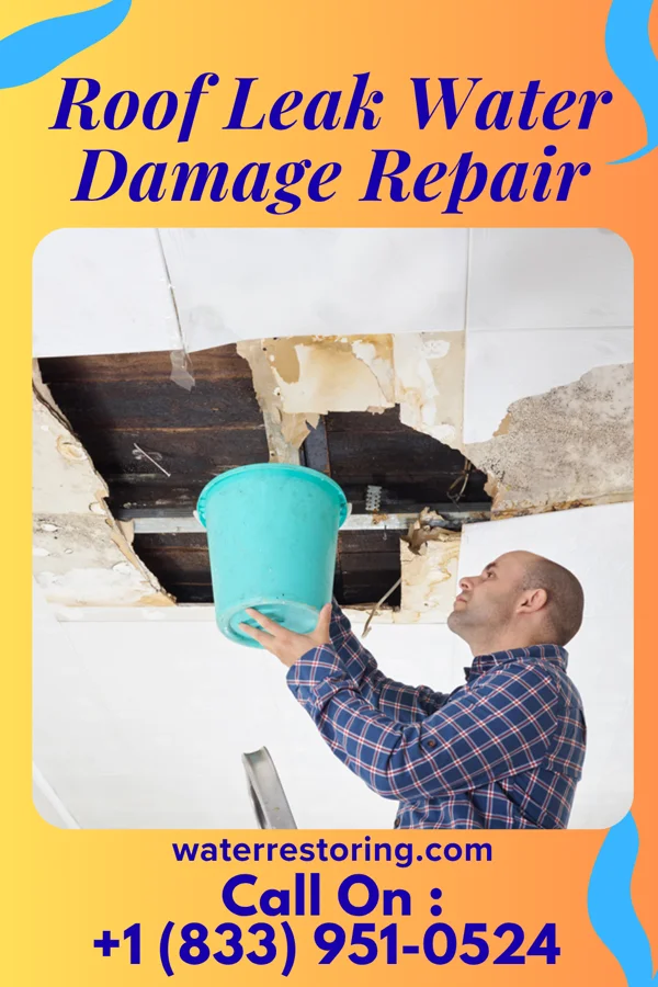 Roof Leak Water Damage Repair in Port William, OH