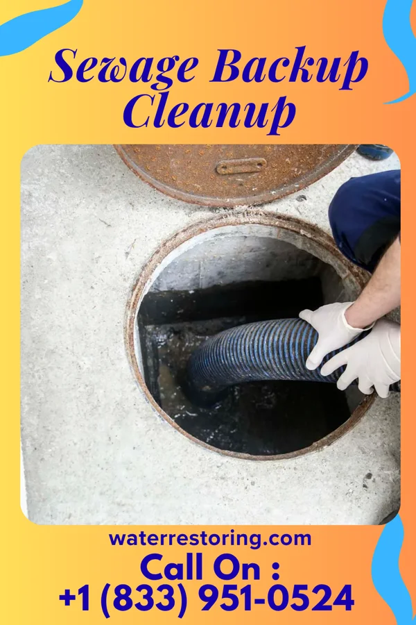 Sewage Backup Cleanup in Port William, OH