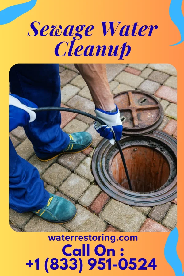 Sewage Water Cleanup in Port William, OH